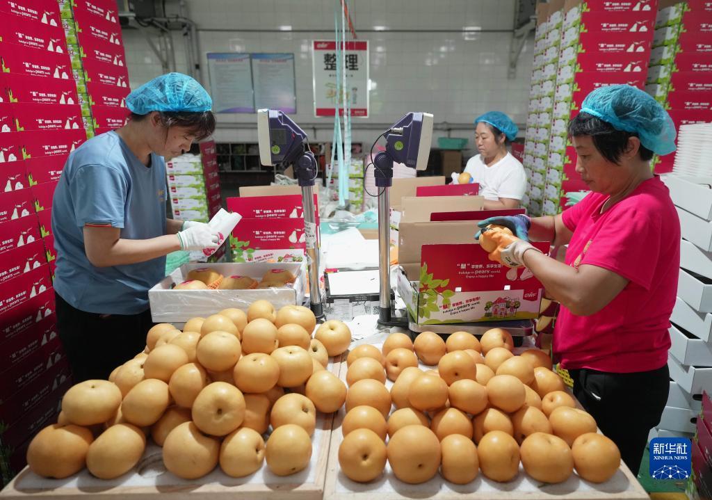 奔驰宝马游戏机在线玩